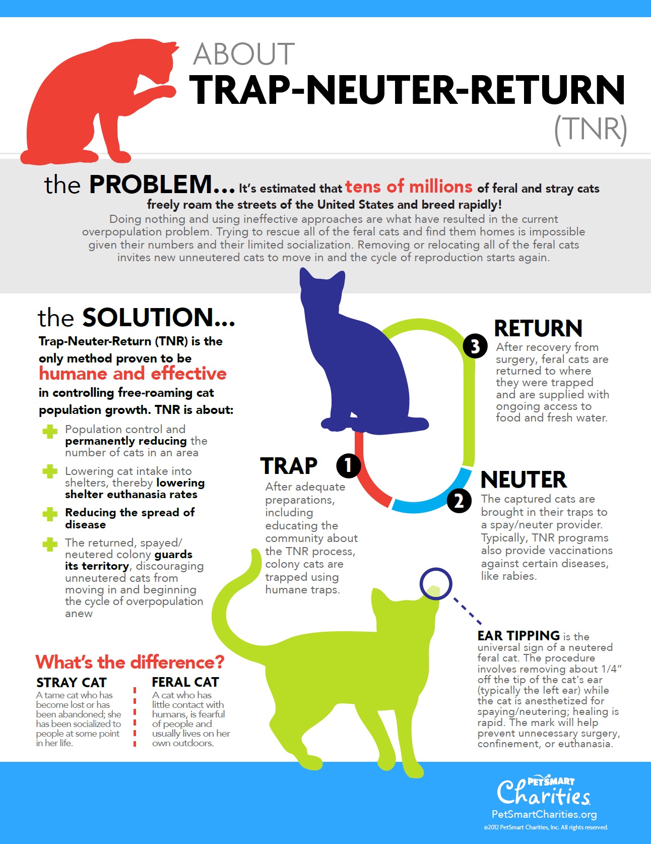 TNR-Infographic.jpg