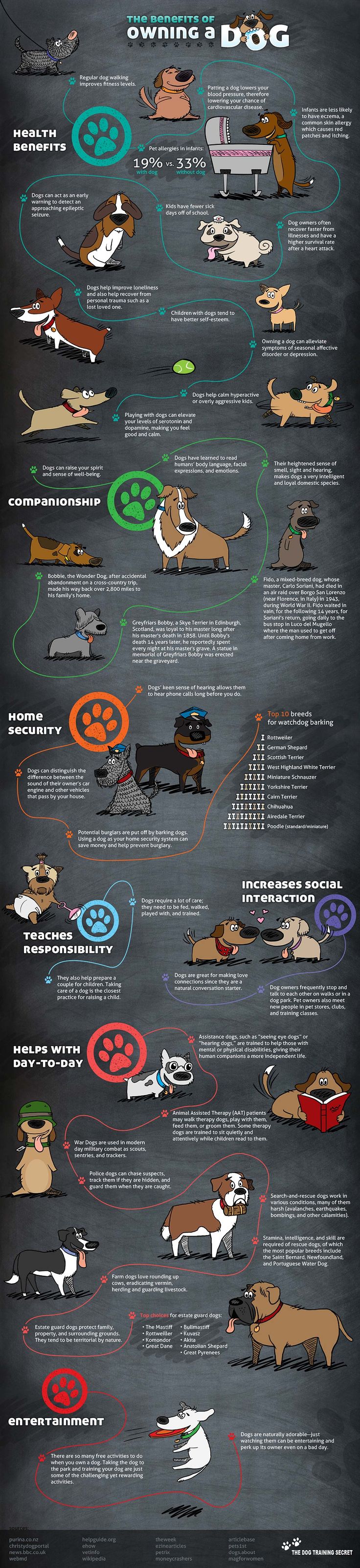 38 Benefits of Owning A Dog [Infographic]