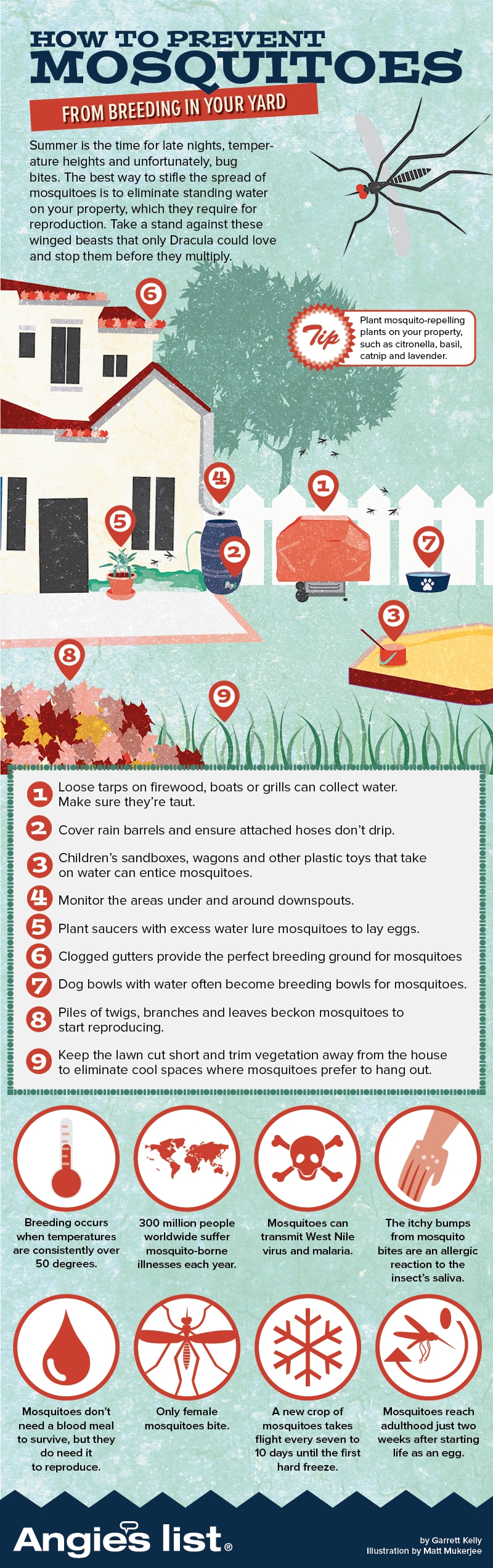 How To Prevent Mosquitoes From Breeding In Your Yard Infographic 0640