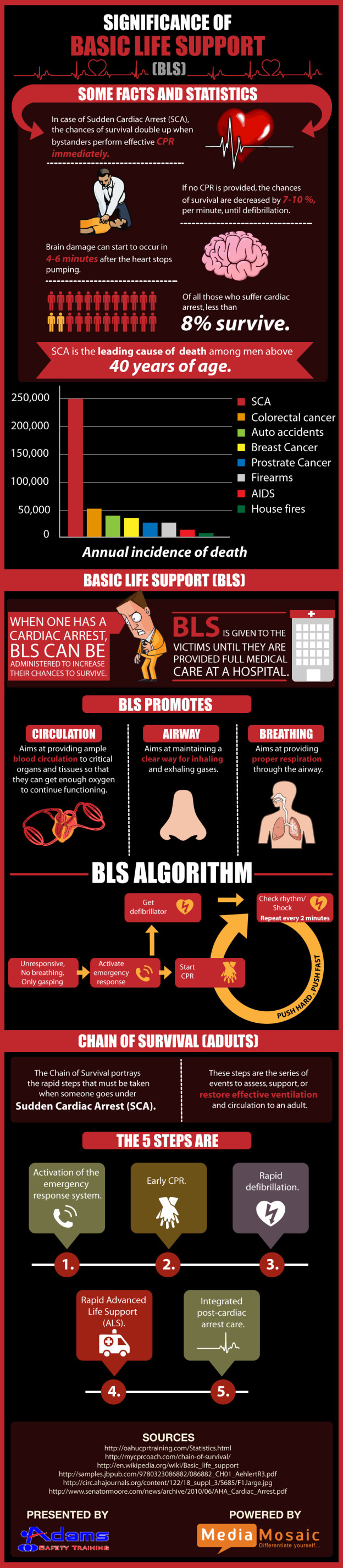 Pruebas Y Pr cticas Hojas Dispersas Significance Of Basic Life Support