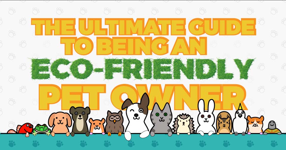The Ultimate Guide to EcoFriendly Pet Ownership [Infographic]
