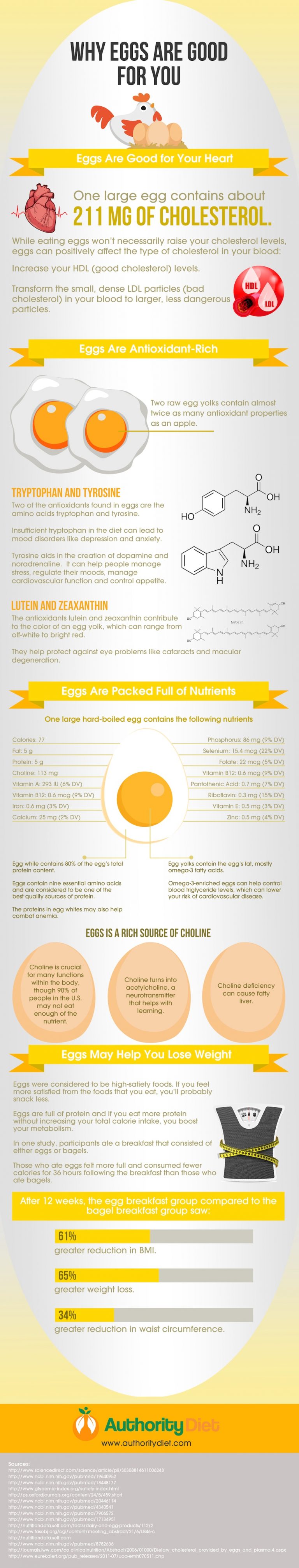 Are Eggs Good or Bad for You? [Infographic]