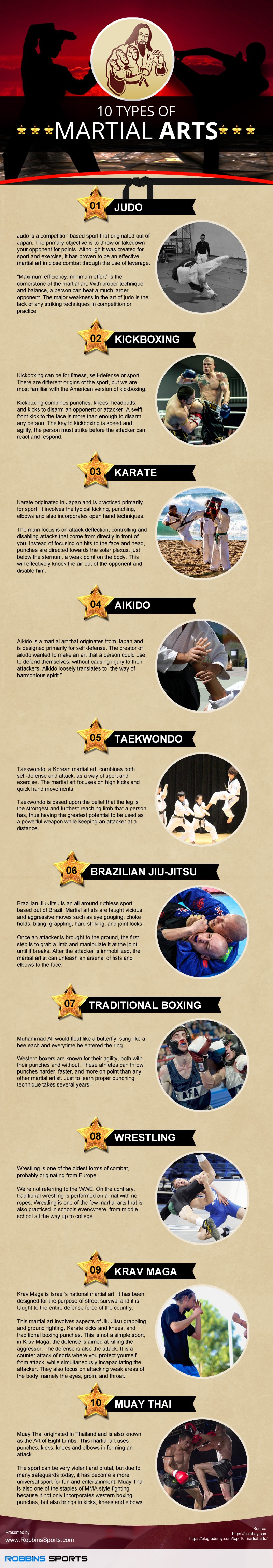 10 Types Of Martial Arts Infographic 