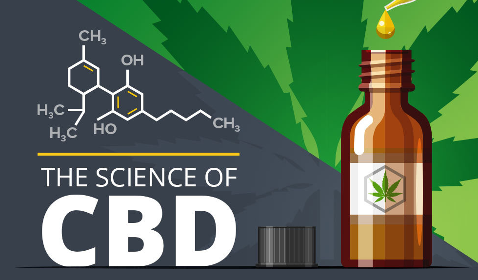 The Science Of CBD [Infographic]