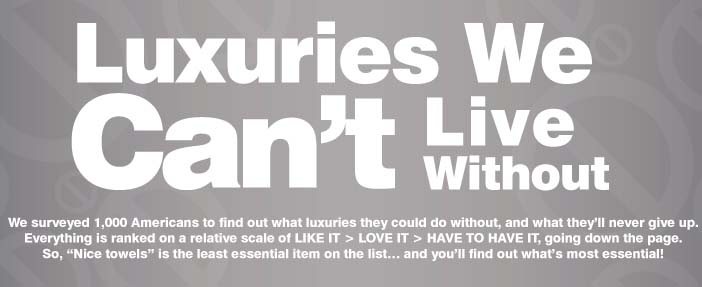 top-luxuries-american-s-can-t-live-without-infographic