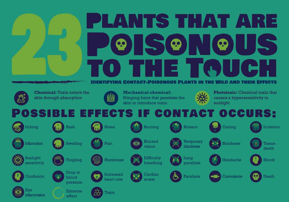 23 Plants That Are Poisonous To The Touch [Infographic]