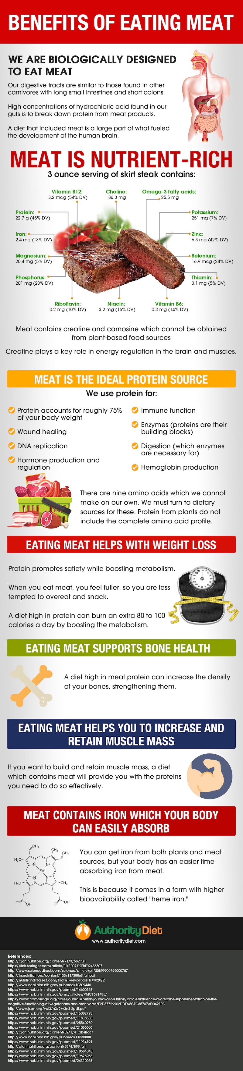 Health Benefits of Eating Meat [Infographic]