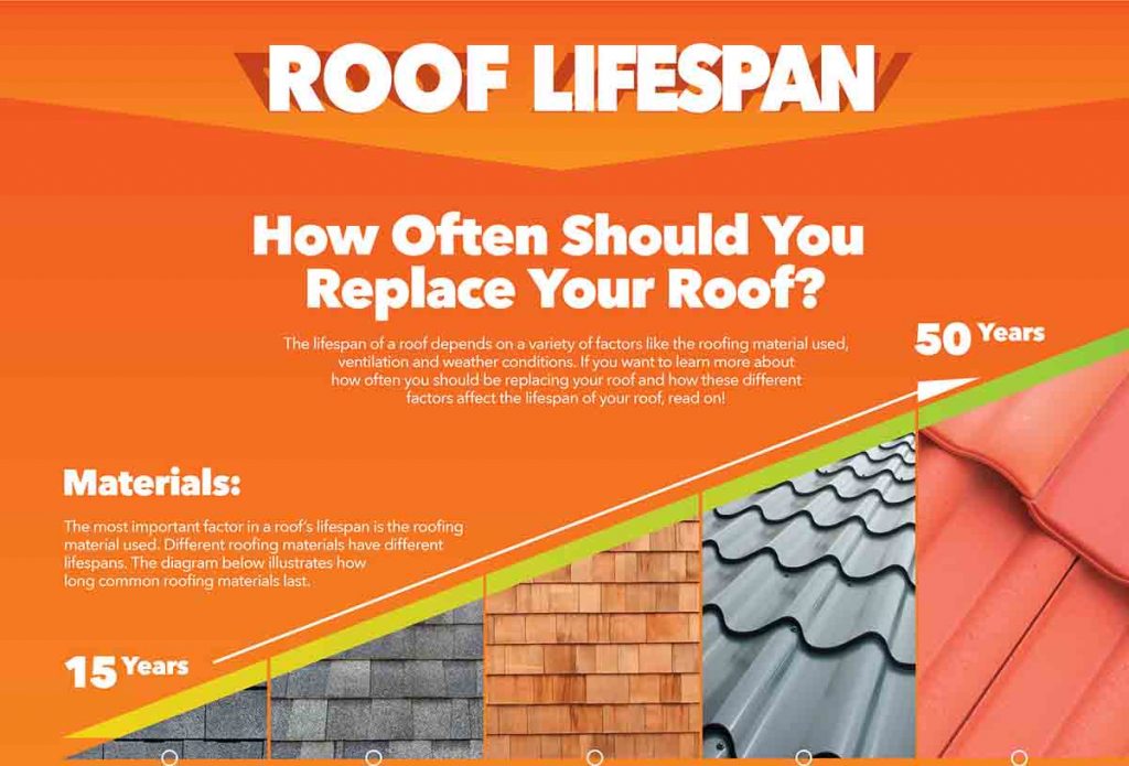 How Often Should You Replace Your Roof Infographic 