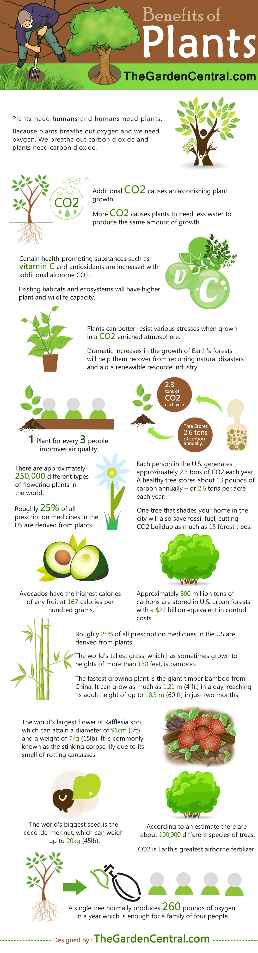 The Benefits of Plants