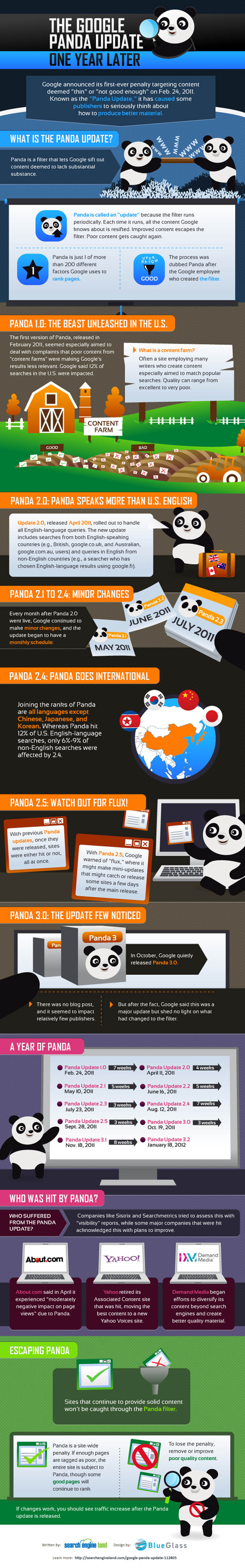 The Google Panda Update, One Year Later