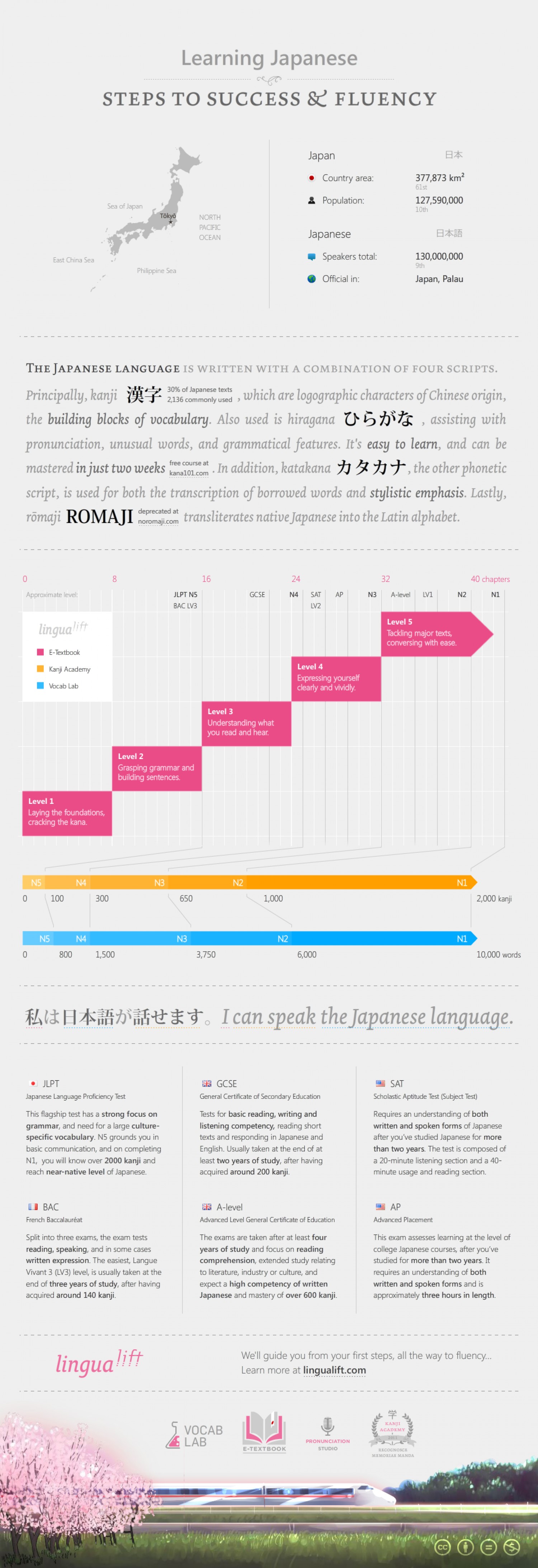 Learning Japanese: Steps to Success & Fluency
