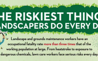 The Riskiest Things Landscapers Do Every Day