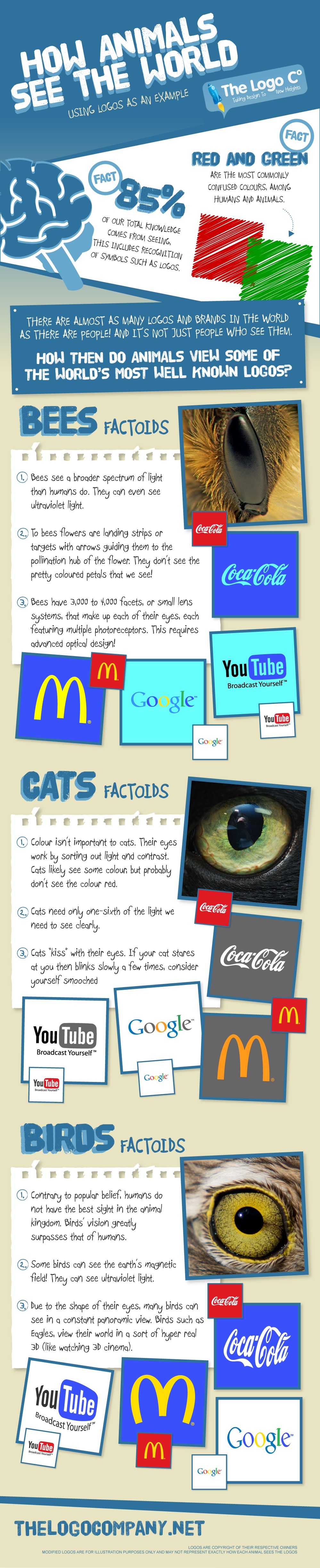 How Animals See the World Using Logos as an Example