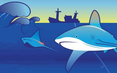 Sharks Count!