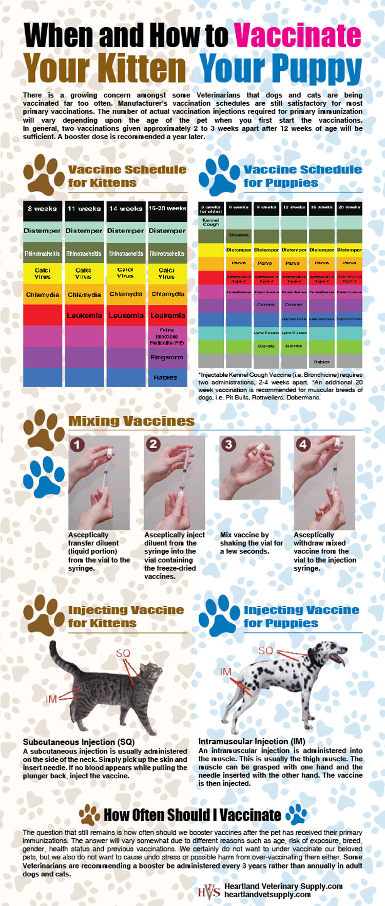 When and How to Vaccinate Your Kitten or Puppy