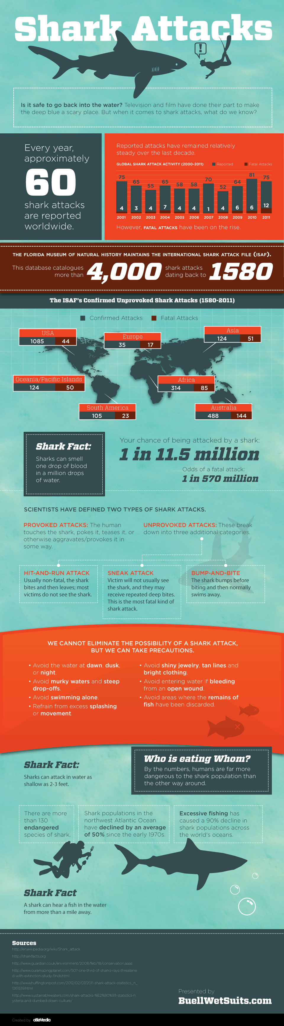 Anatomy of a Shark Attack