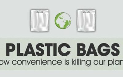 How Convenience is Killing Our Planet