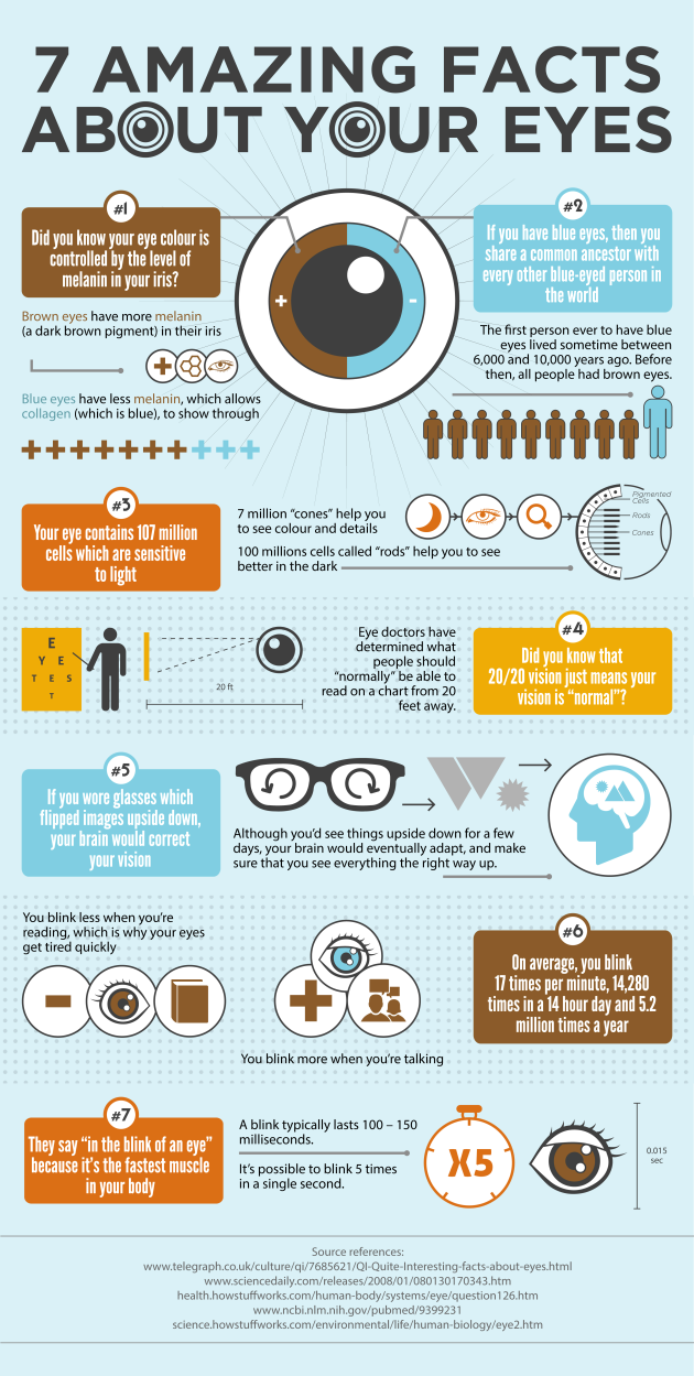 7 Amazing Facts About Your Eyes