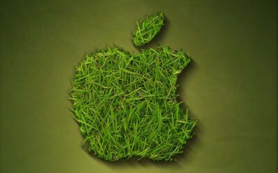 Keeping a Green Apple: Recycling iPhones