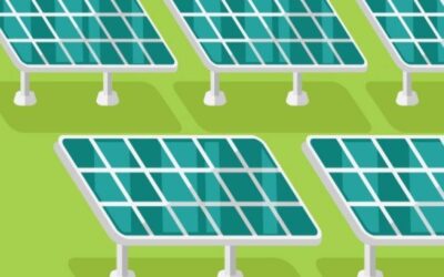 Green Energy and Politics in 2012