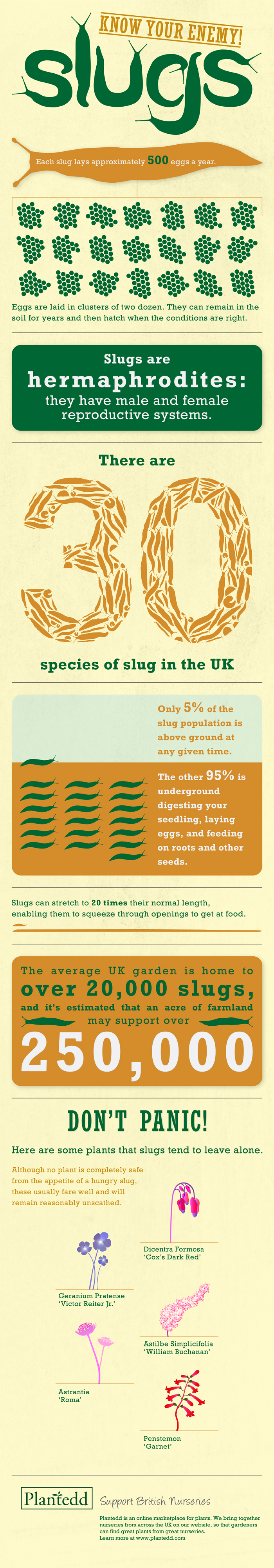 Slugs: Know Your Enemy