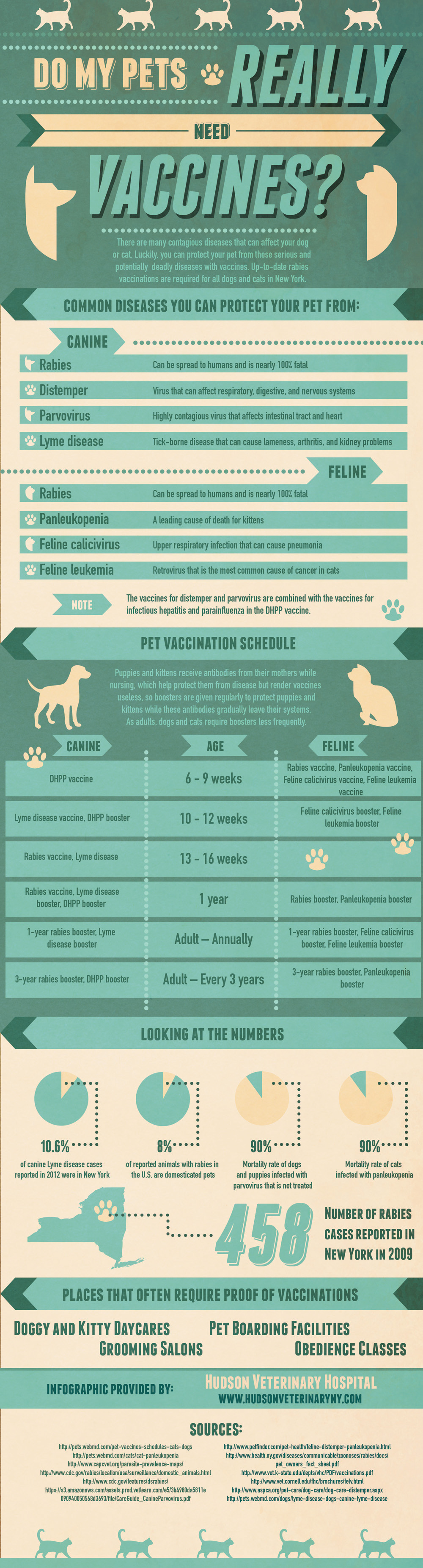 Do My Pets Really Need Vaccinations?