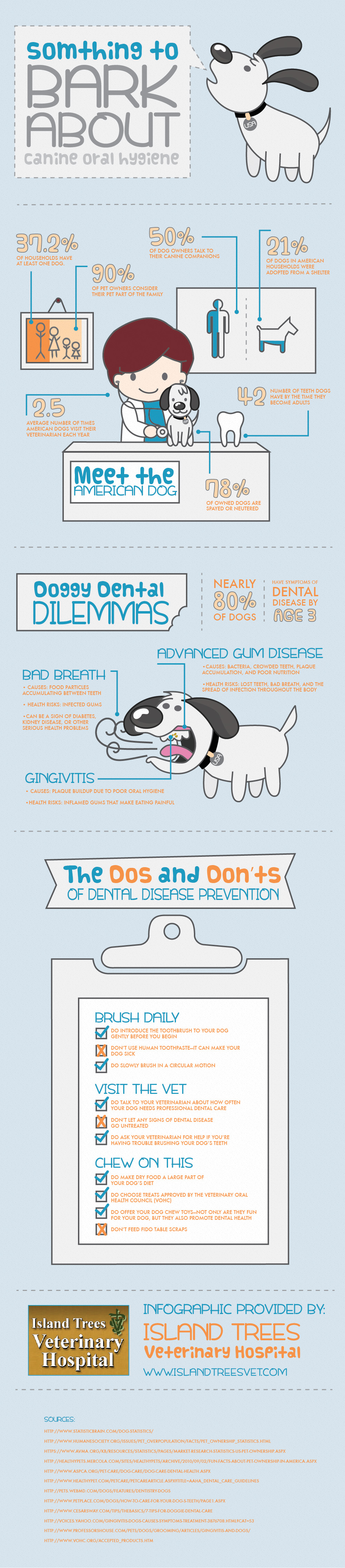 Something to Bark About: Dog Dental Care
