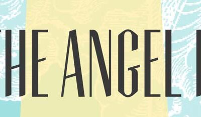 Rise of the Angel Investor