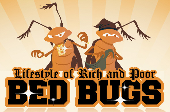 Lifestyle of Rich and Poor Bed Bugs