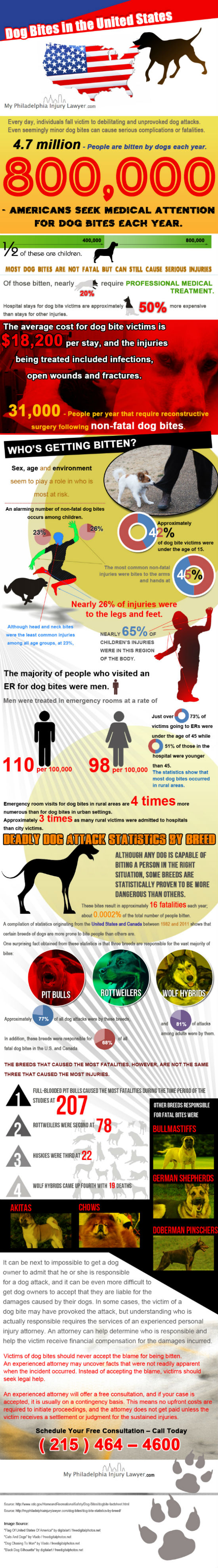 The Biting Facts About Dog Bite Stats