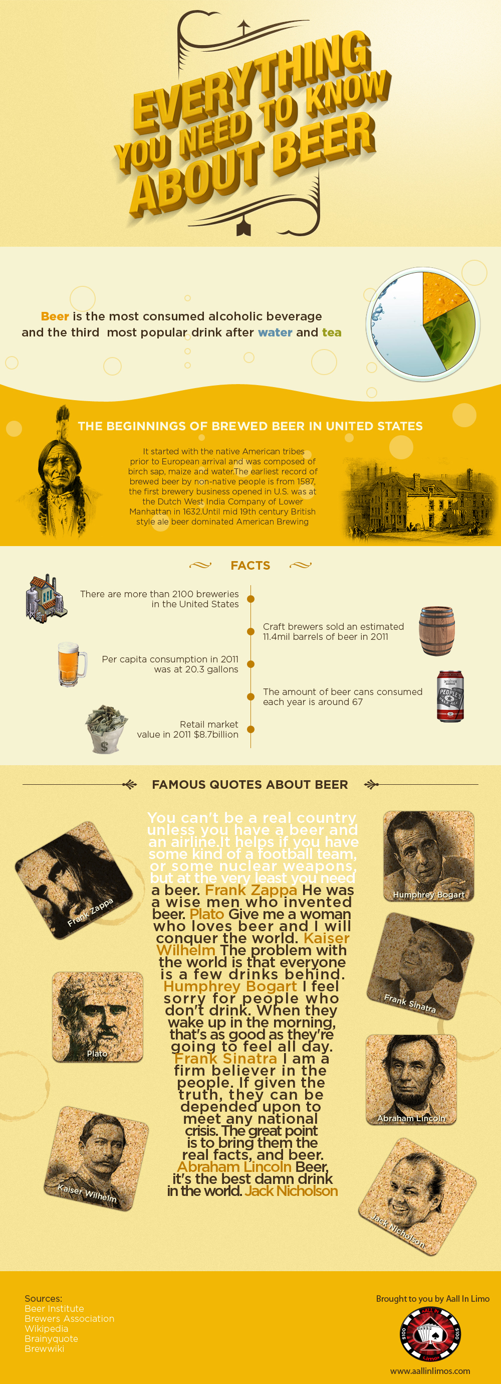 Everything You Need To Know About Beer