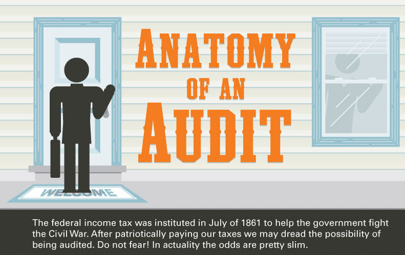 The Anatomy of an Audit