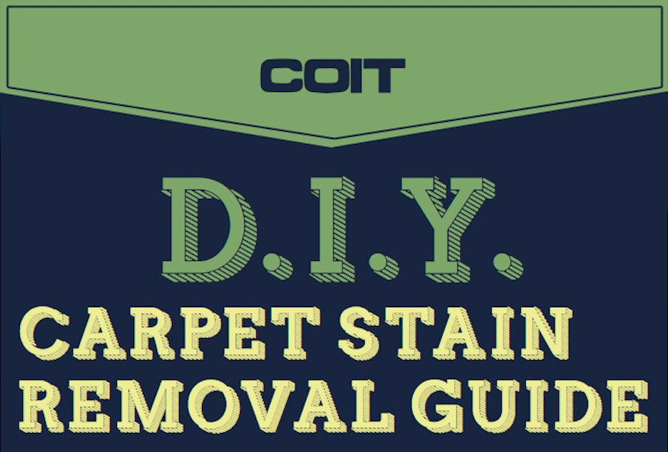 DIY Carpet Stain Removal Guide [Infographic]