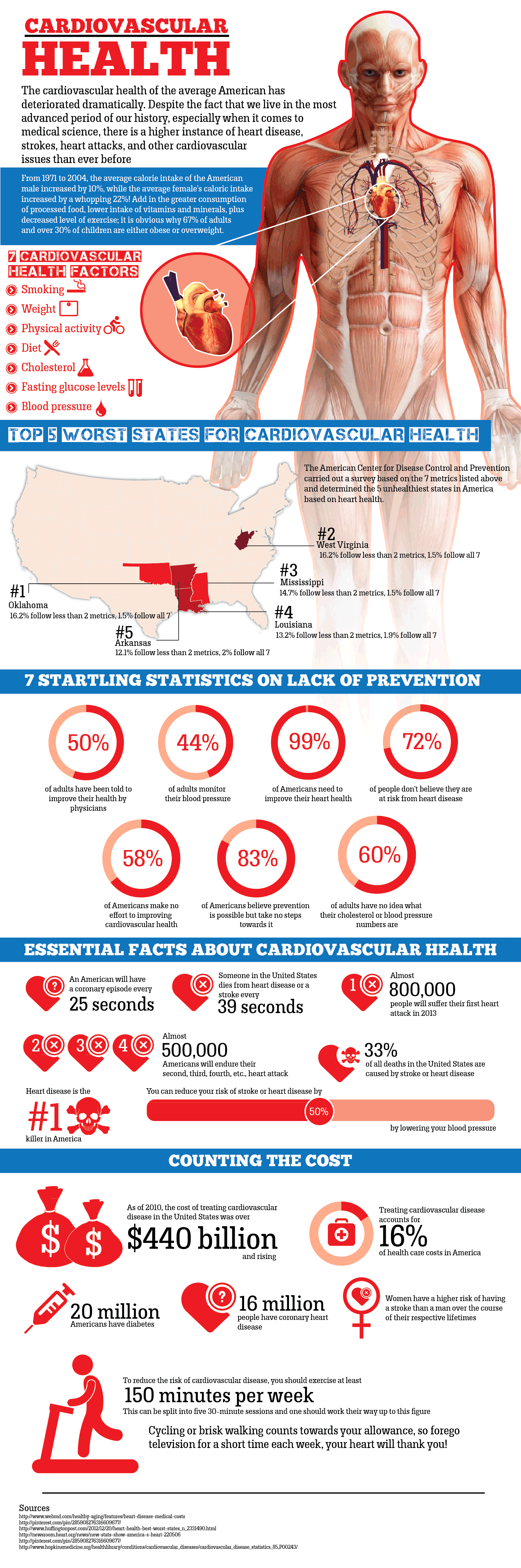 Cardiovascular Health Infographic 