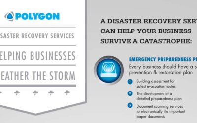 Disaster Recovery Services Help Businesses Weather the Storm