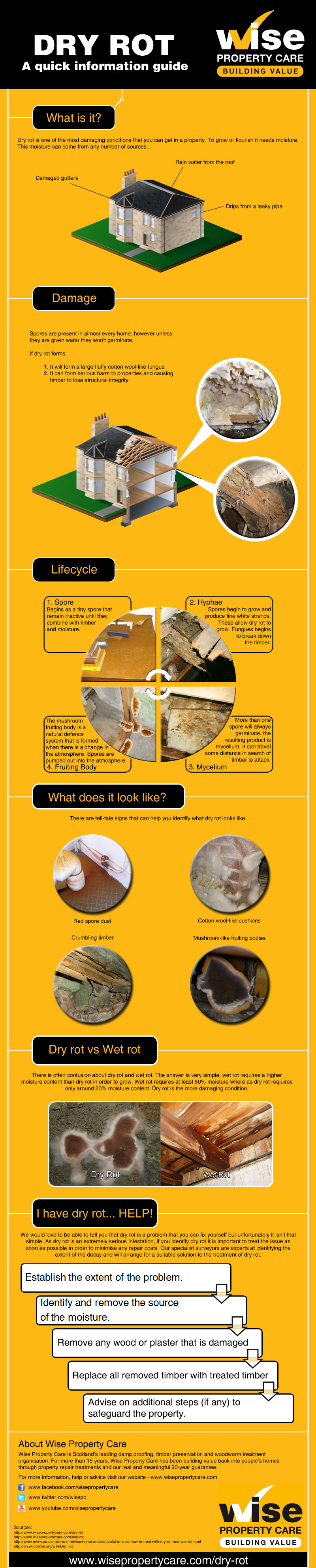 Dry Rot: A Quick Information Guide
