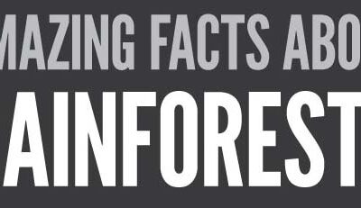 50 Amazing Facts About Rainforests