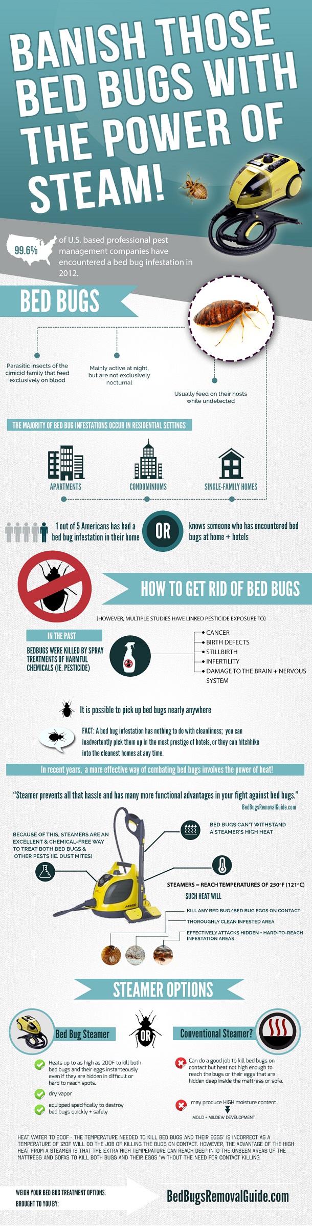 Banish Those Bed Bugs With The Power of Steam