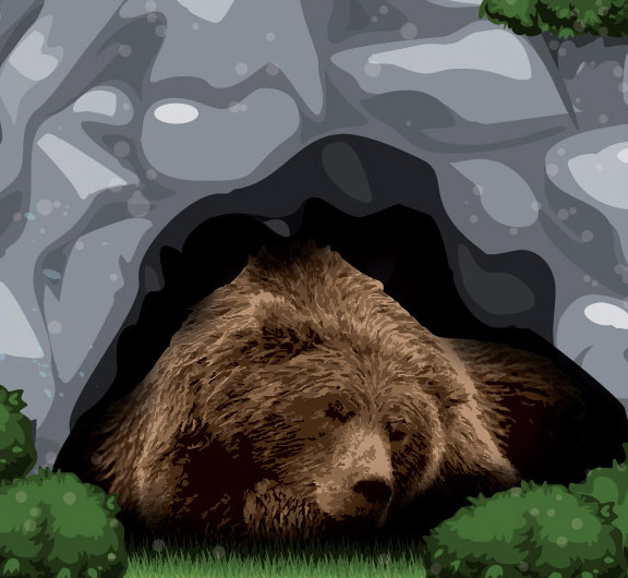 Everything You Wanted to Know About Hibernation