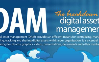 The Breakdown of Digital Asset Management