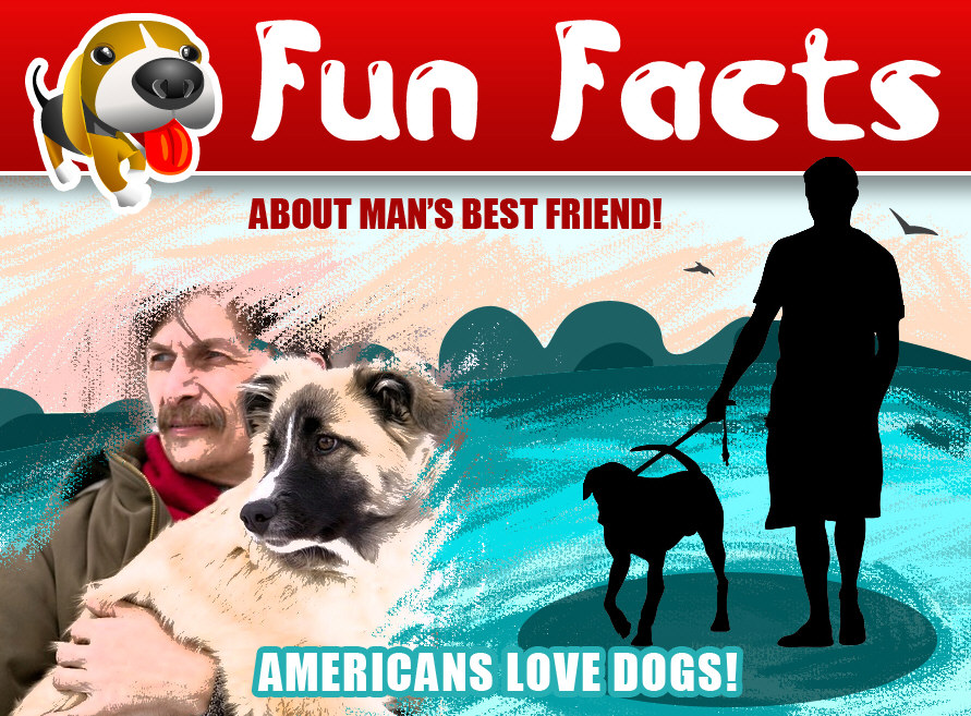 Fun Facts About Man’s Best Friend