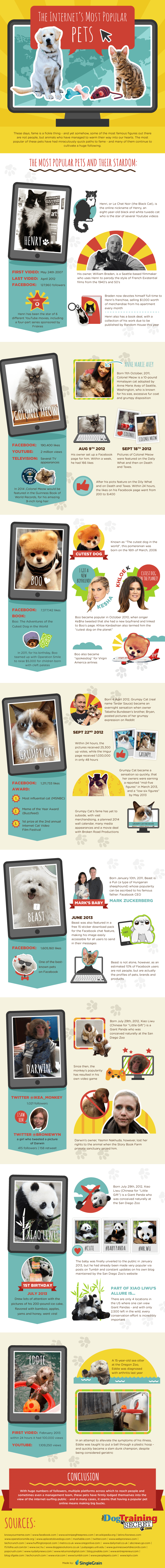 The Internet's Most Popular Pets