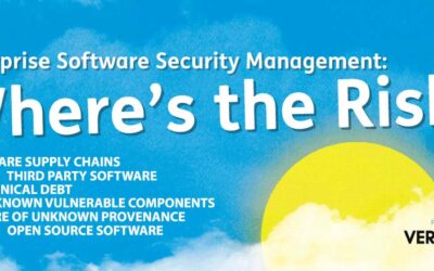 Enterprise Software Security: Where’s the Risk?