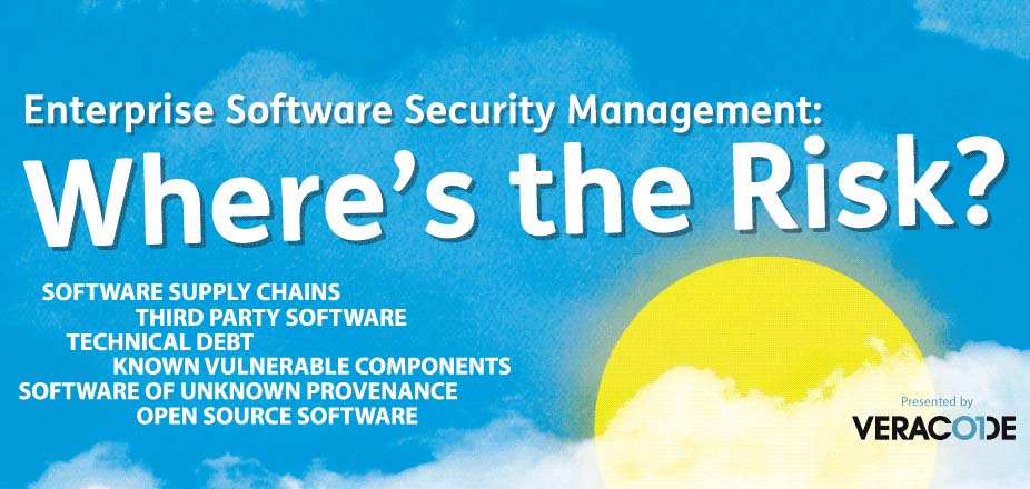 Enterprise Software Security: Where's the Risk? [Infographic]
