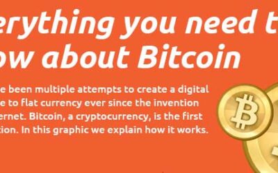 Everything You Need to Know About Bitcoins