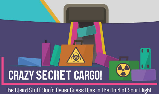 Crazy Secret Cargo: Guess What’s Flying Under You?