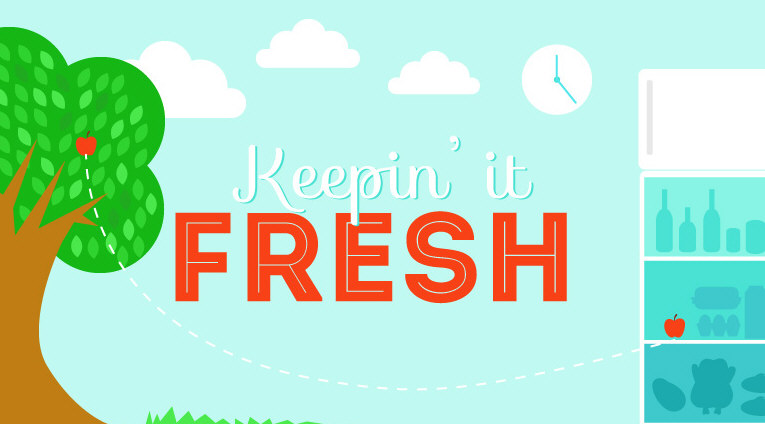 Keepin’ it Fresh: Refrigerator Revamp Guide