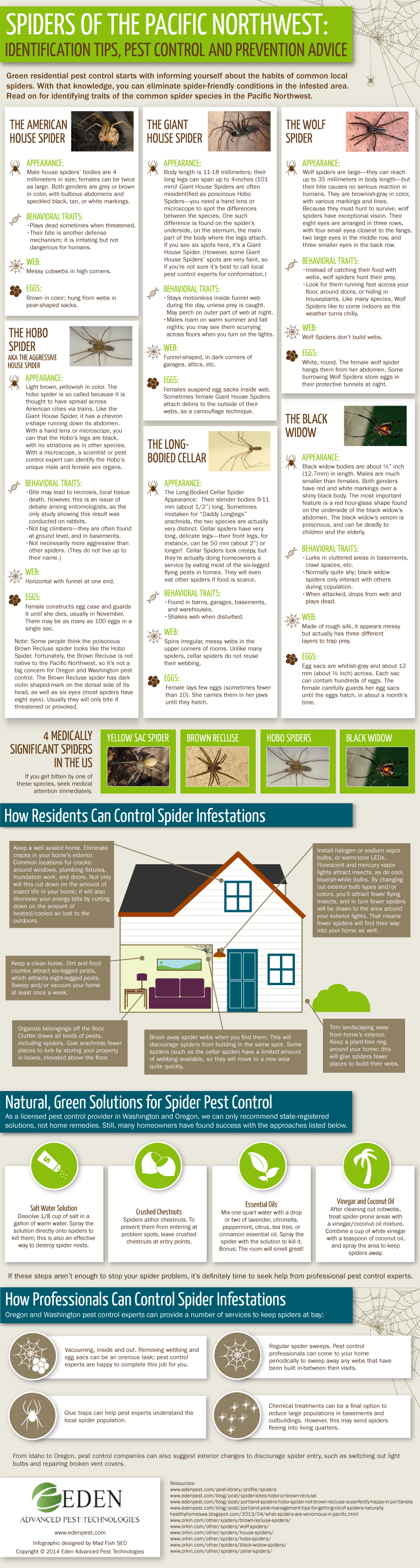 Spiders of the Pacific Northwest