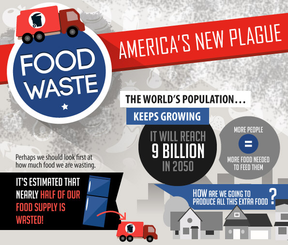 Food Waste in America and How You Can Make a Difference [Infographic]