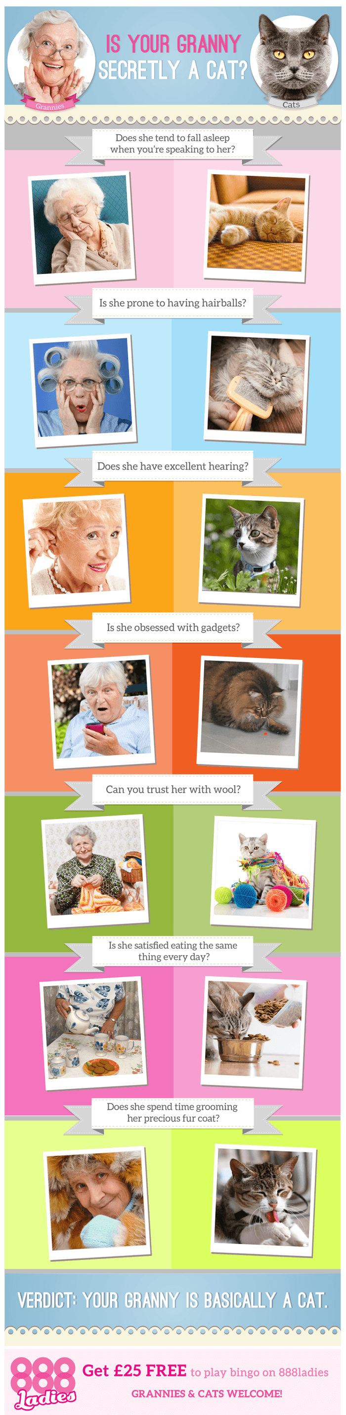 Is Your Granny Secretly a Cat?